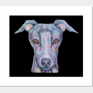 cute italian greyhound Posters and Art